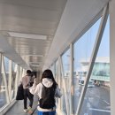 명도암정담김밥 | 2026년을 다소 격하게 맞이하며 한라산 등반
