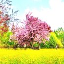 (주)닥터봄 이미지