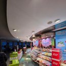 백만프라자 | 남산타워 N서울타워 백만불야경~♥