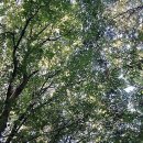 과학아 과학아 어디에 있니? 이미지