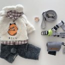 플러프도그 이미지