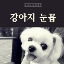 구지동물병원 이미지