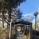 삼익그린맨션 | 강동구 명일동, 삼익그린2차 아파트 임장 후기