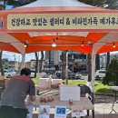 샐러디보령