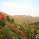 산 이미지