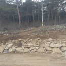 숲속 게르 하우스 이미지