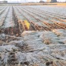 서리내농장 이미지