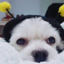 낙원탕 이미지