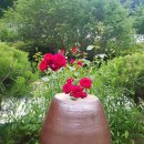 완두콩가족펜션 이미지