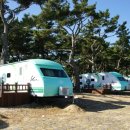 송림 힐링캠핑장 이미지