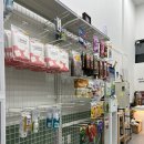 진이애견 이미지