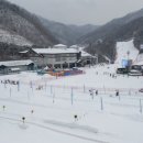 엘리시안 강촌 스키장 이미지