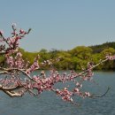 남산반곡지 이미지