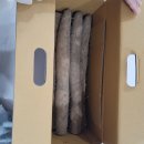 영애농장 이미지