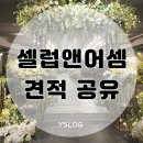 강남 학동 셀럽앤어셈 신상 웨딩홀 투어 후기 26년 상반기 견적 공유