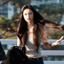 이안에서 이미지