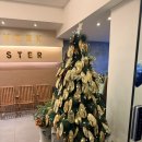 뉴욕바닷가재 | 뉴욕바닷가재 신월본점 랍스터 맛집 솔직 후기 | 룸식당·주차·메뉴 총정리