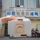 시민세탁소 | 목포 디저트 몽글푸딩 후기, 일본 푸딩보다 맛있는 수제 푸딩 맛집