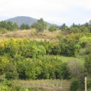 청산농장 이미지