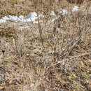 인흥농장 이미지