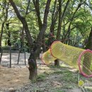 동산자연유치원 이미지