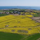 대평프라자 이미지