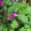 잼있는날 이미지