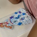 뽀꾸뽀꾸 이미지