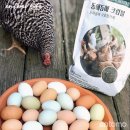 청원사료 이미지