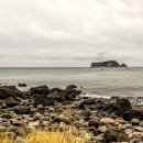 제주 올레길 7코스 이미지