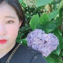방탄소년단 렌즈 :: 아이돌렌즈 MTPR X BTS 브라운 착용감+ 포토카드 (나 웜톤 아니야 진짜?)