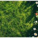 균형한의원 이미지