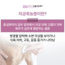 동탄원더스동물의료센터 | 화성 청계동 동물병원 자궁축농증 수술을 진행한 9살 강아지의 케이스