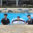 원골농장 | 둔포 원골농장 가족 물놀이