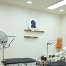 담담 그루밍 샵 이미지