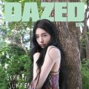 수지 - 보성군 | 수지