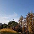 백악관 스크린골프 이미지