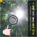 해파랑길 2코스 이미지