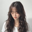 온헤어겔러리