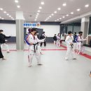 용인대석사청룡태권도 이미지