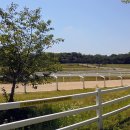 원흥목장 이미지