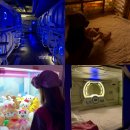 라성보석사우나 이미지