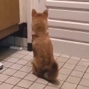 문현관앞 이미지