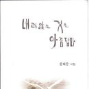 윤태운 시집 [내려앉는 것은 아름답다] (서진출판사. 2012.08.10) 이미지