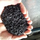 대영수지 이미지