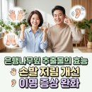 은행잎추출물 징코빌로바 효능, 손발 저림 고치고 이명 증상 줄이는 효과