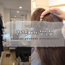 닥터포헤어(잠실점) 이미지