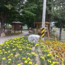 패랭이공원 이미지