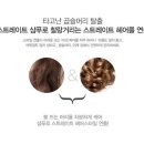 더샴푸헤어 이미지