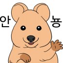 스시렌마 이미지